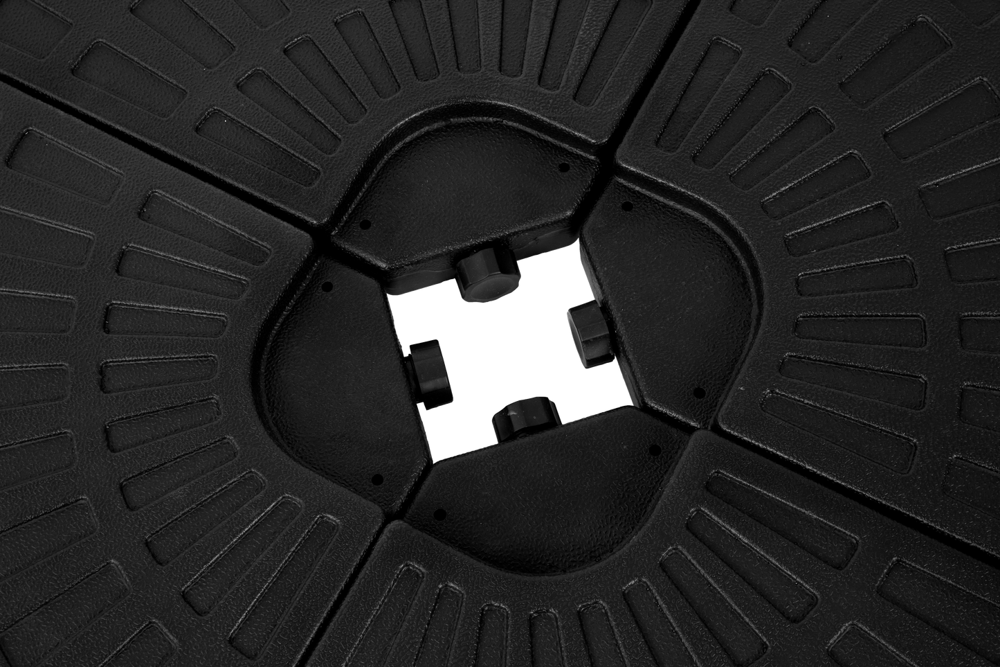 20641981