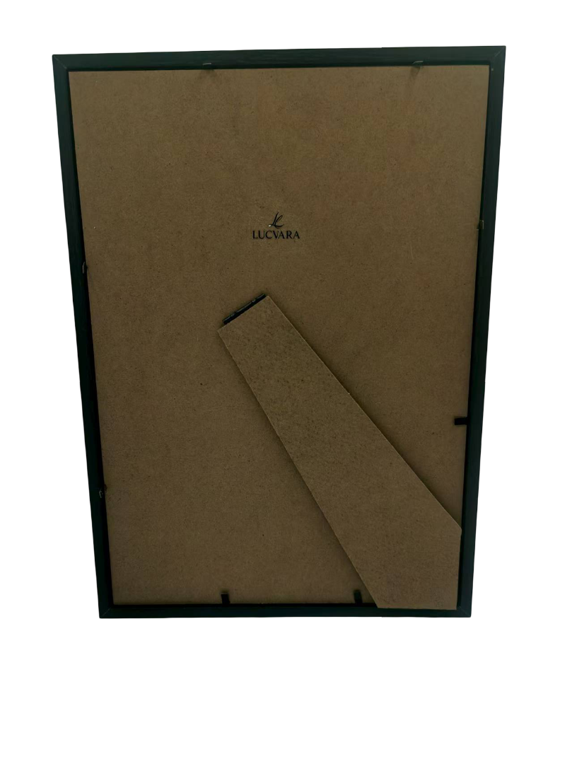 Lucvara A4 3D DIY Art Frame – Transparent Shadow Box Display Frame with Accessories, Acrylic Glass Cover & Wall Mount Kit, Perfect for DIY Dried Flower or Craft Projects (Flowers Not Included)
