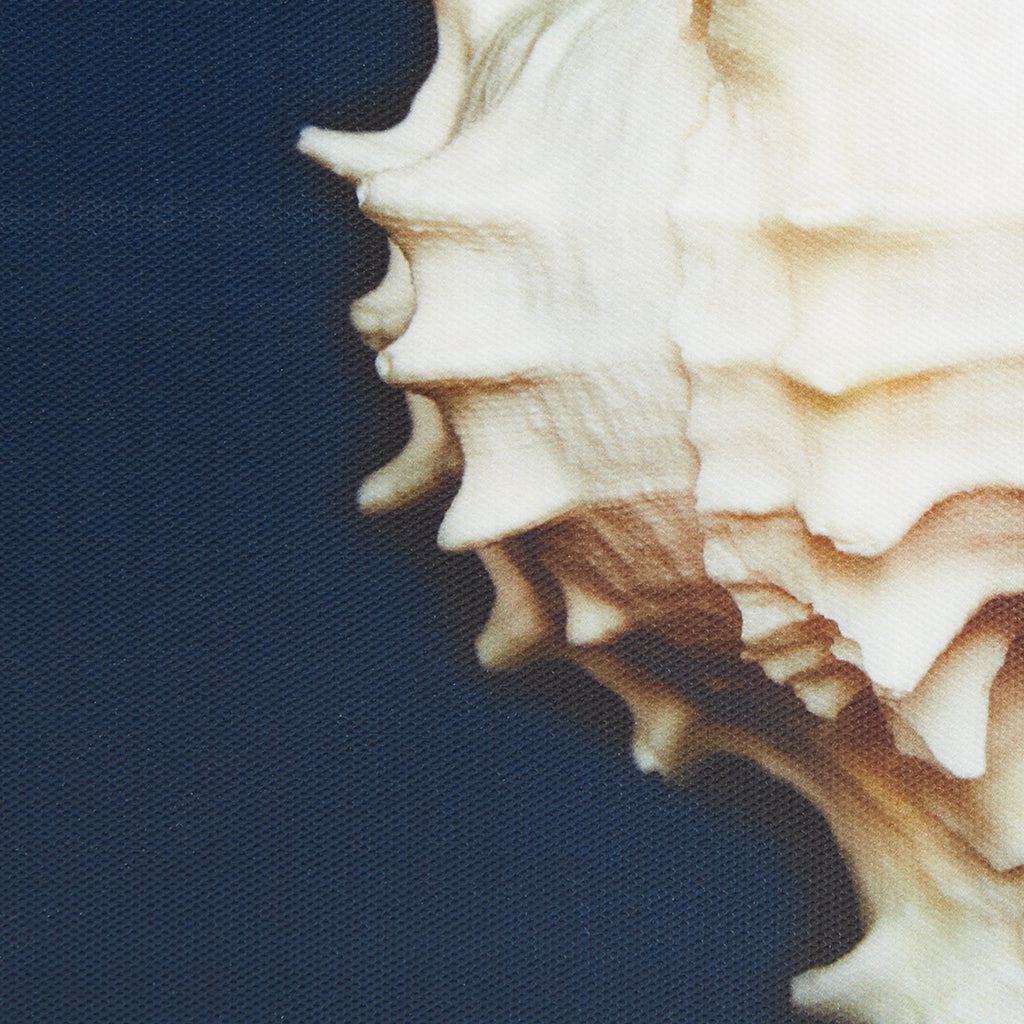 20640244