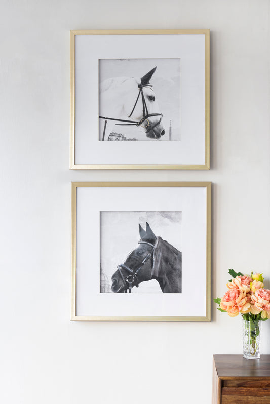Lucvara Set of 2 Horse Wall Art Prints, Animal Wall Decor Accent, 22"x22", Modern Home Decoration